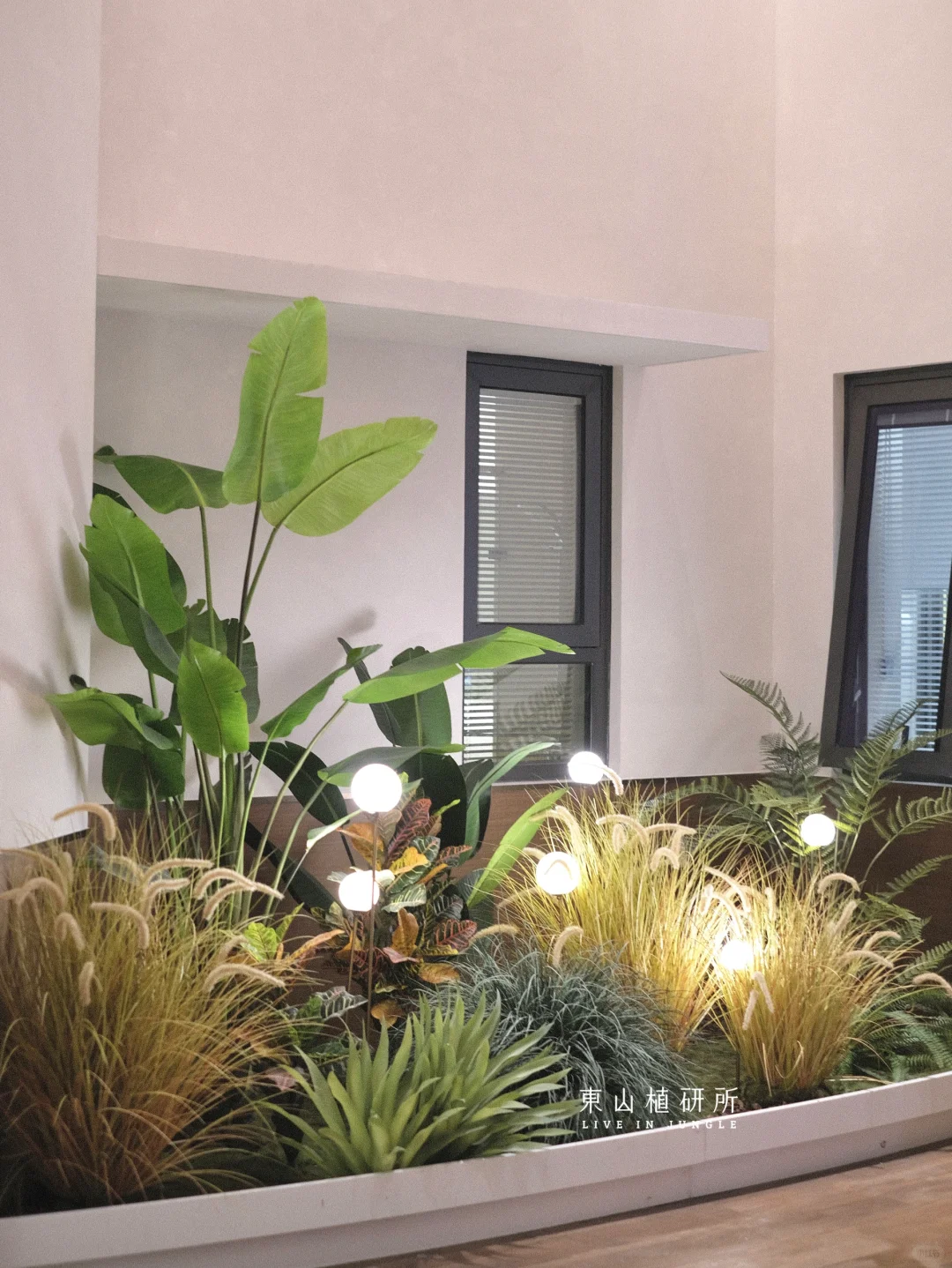 植物造景| 有植物的空间会发光✨