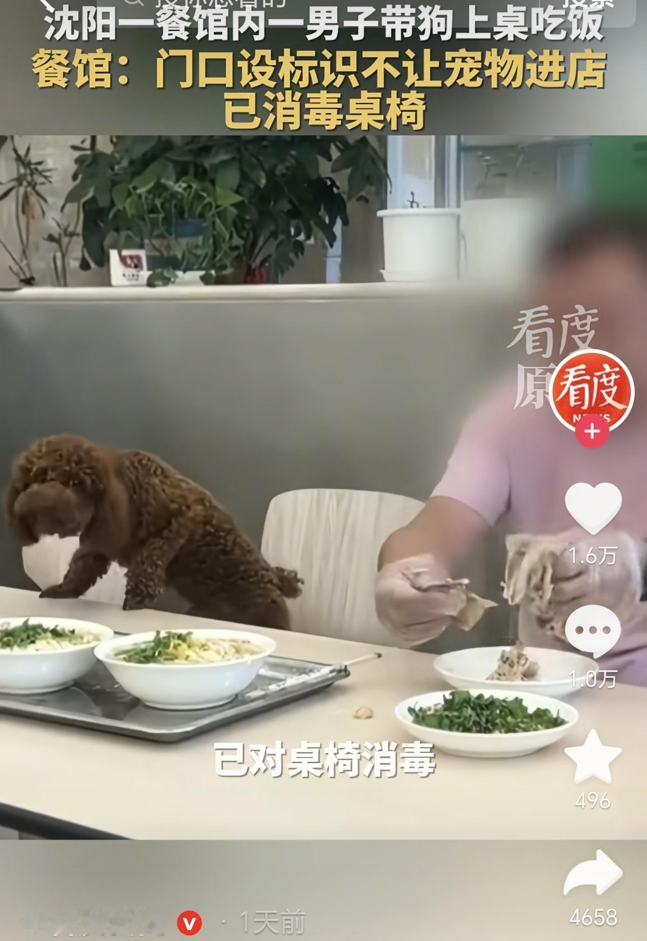 辽宁沈阳，一男子中午去面馆吃饭，他发现另一名男子竟然带着宠物狗在座位上吃饭，还把