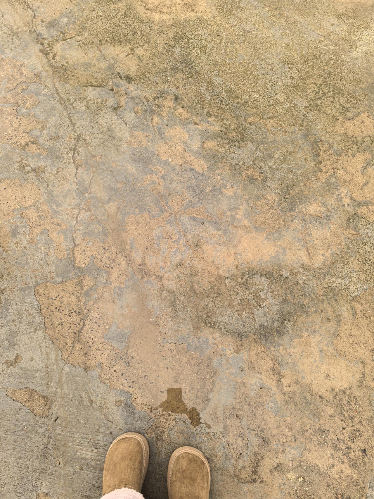 不知道为啥，现在突然不喜欢下雨天了，尤其是冬天下雨，莫名的烦[叹气][叹气][叹