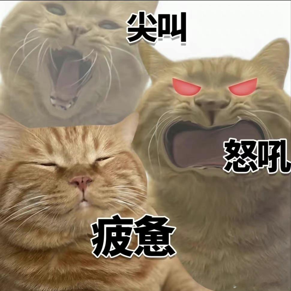 大吉胡咧咧 如珠似宝86“这个开题报告我觉得已经没什么问题了……”赵宝珠现在已经