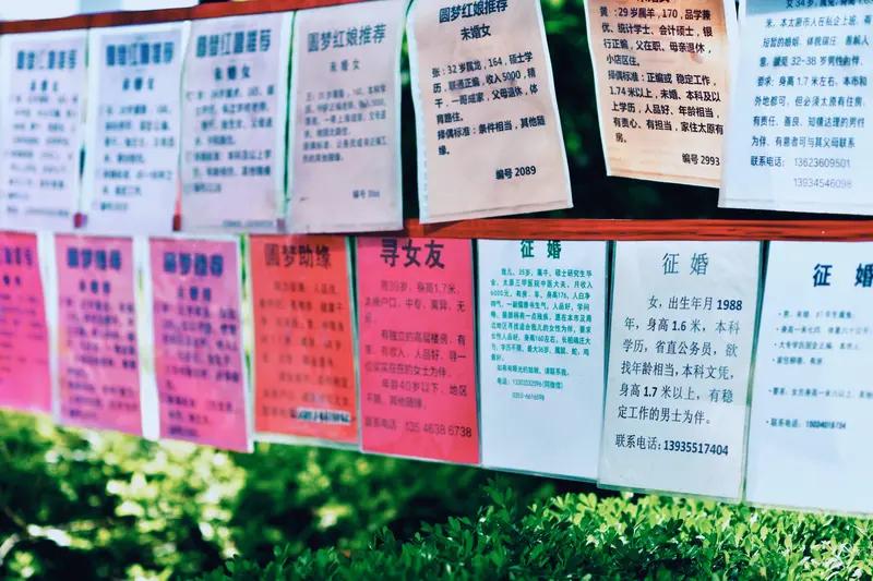 现在好多女性选择单身，原因可不少。在长辈和传统观念里，90 后不结婚就是太挑剔、