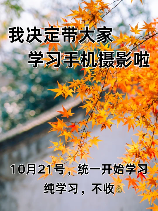 我决定带大家学习手机摄影啦！！