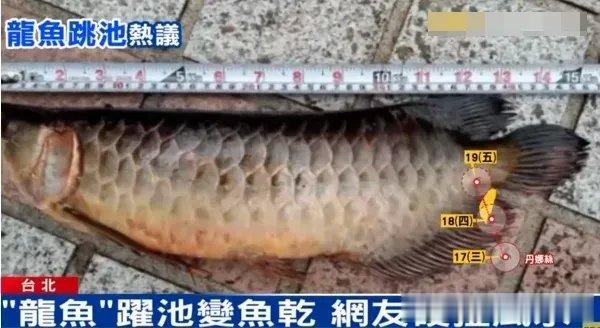 #郭台铭宣布参选#我不迷信，但是，台湾省人特别迷信，韩国瑜参选的时候，国民党党部
