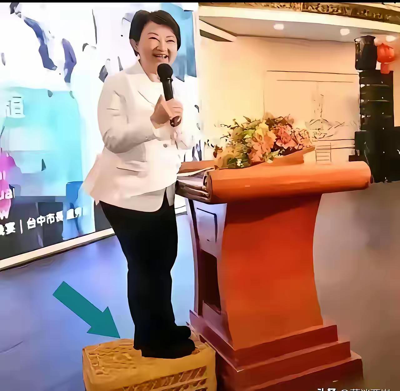 吴子嘉揭露卢秀燕真面目，还在梦想2028，没戏了！

吴子嘉这回说了句大实话。他
