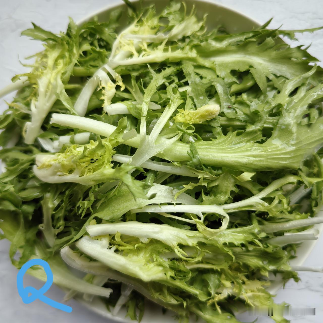 【老乔头种果菜·会种会采会吃】	野生苦苣与韭菜的共生趣事
 
老乔头种地爱捣鼓着