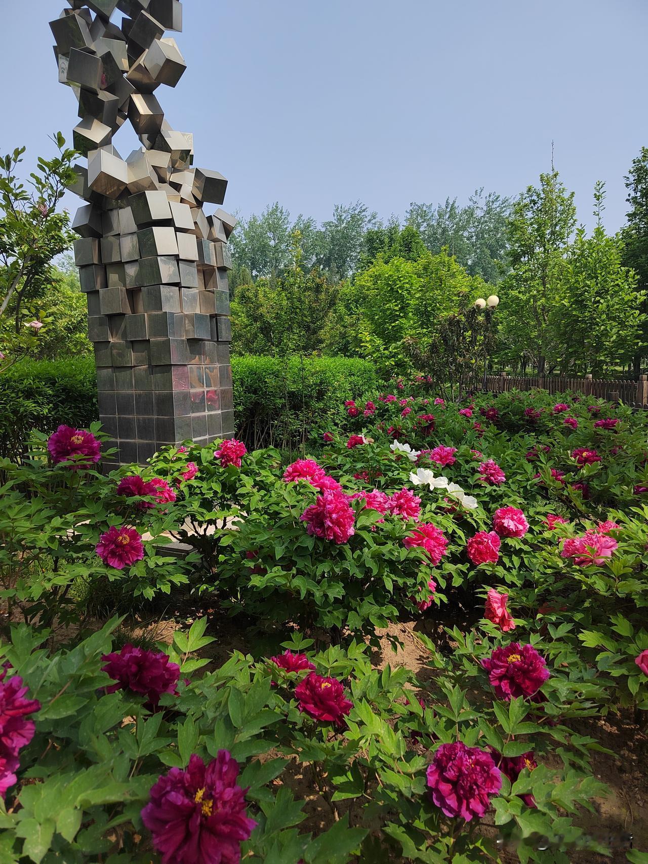 晒图笔记大赛花已开，春已至，人生总有不期而遇的温暖，也会有生生不息的希望