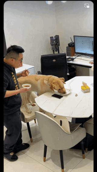 午饭没了，
不敢打也不敢骂！