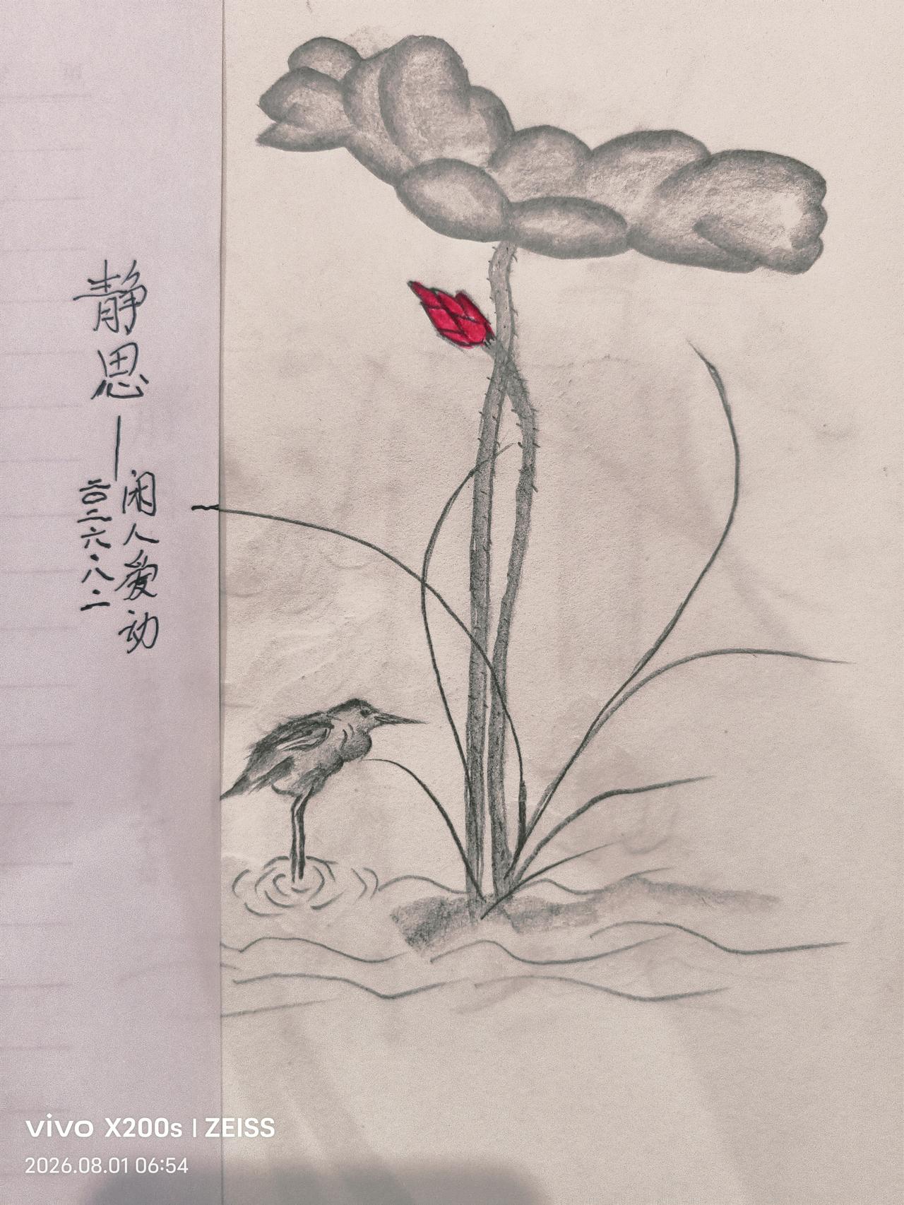 用铅笔丰富多彩的夕阳生活
         炎热的夏天高温难耐，除早晚出门购物、