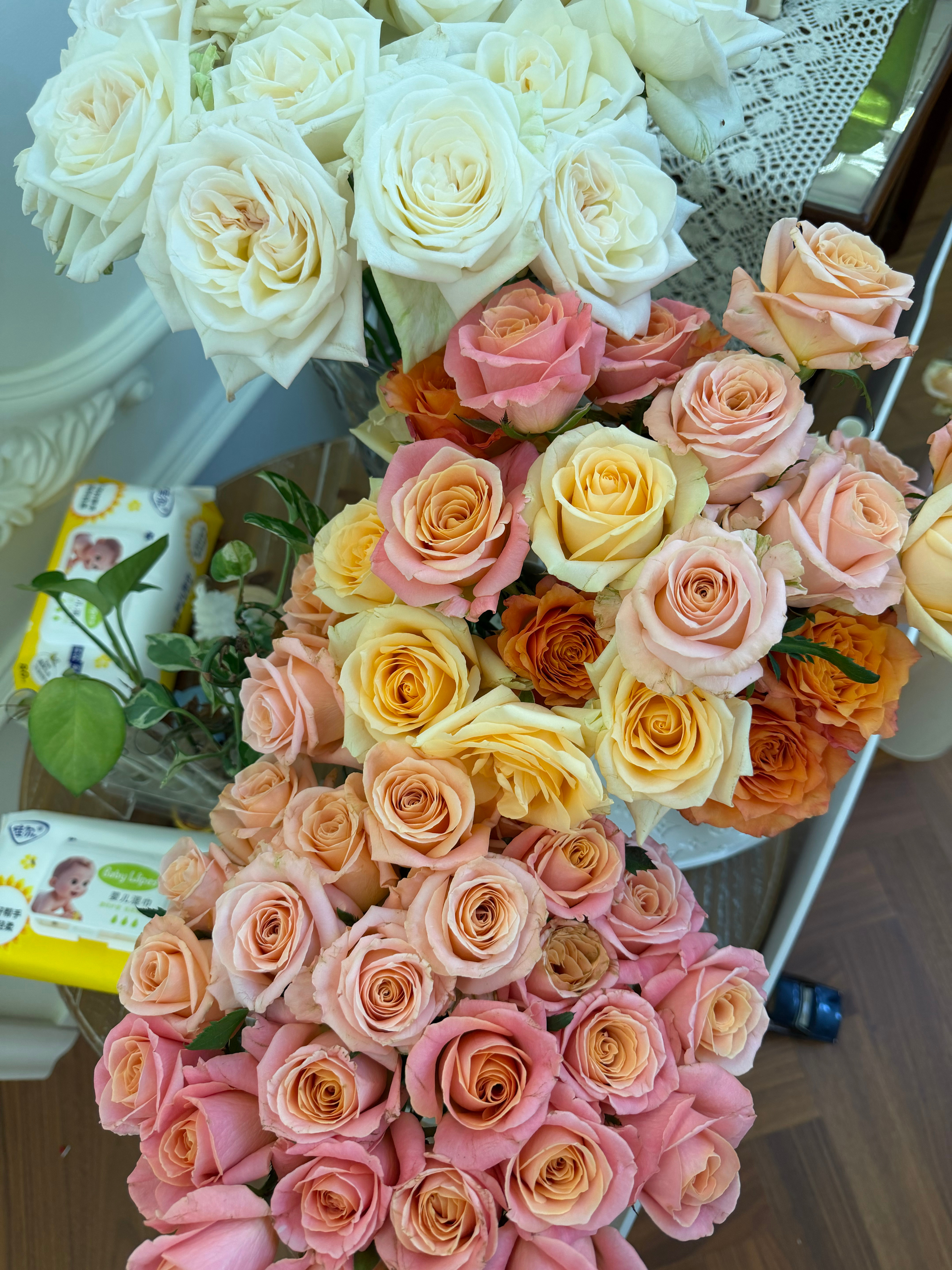 我养的花同我一样曼妙
