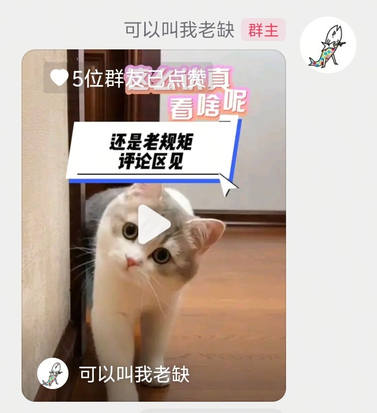 在隔壁抽个小奖品，氮化镓充电头一个，大家可以去试试手气（关注以后带图评论就行） 