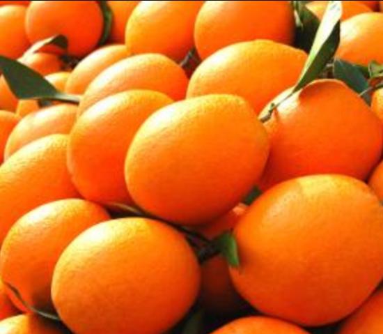 2025广州国际车展