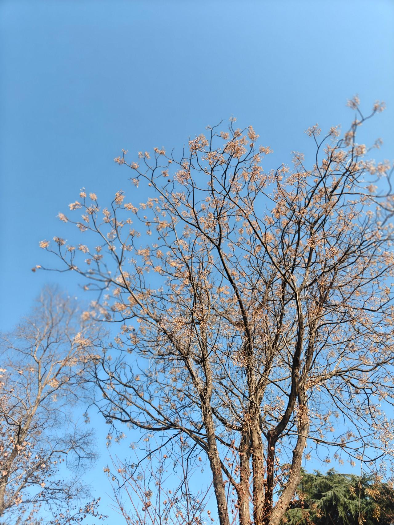 昨晚去参加当地散文学会的年会，我作为一个社恐人，好不自在。
人家都去敬酒，我怎么