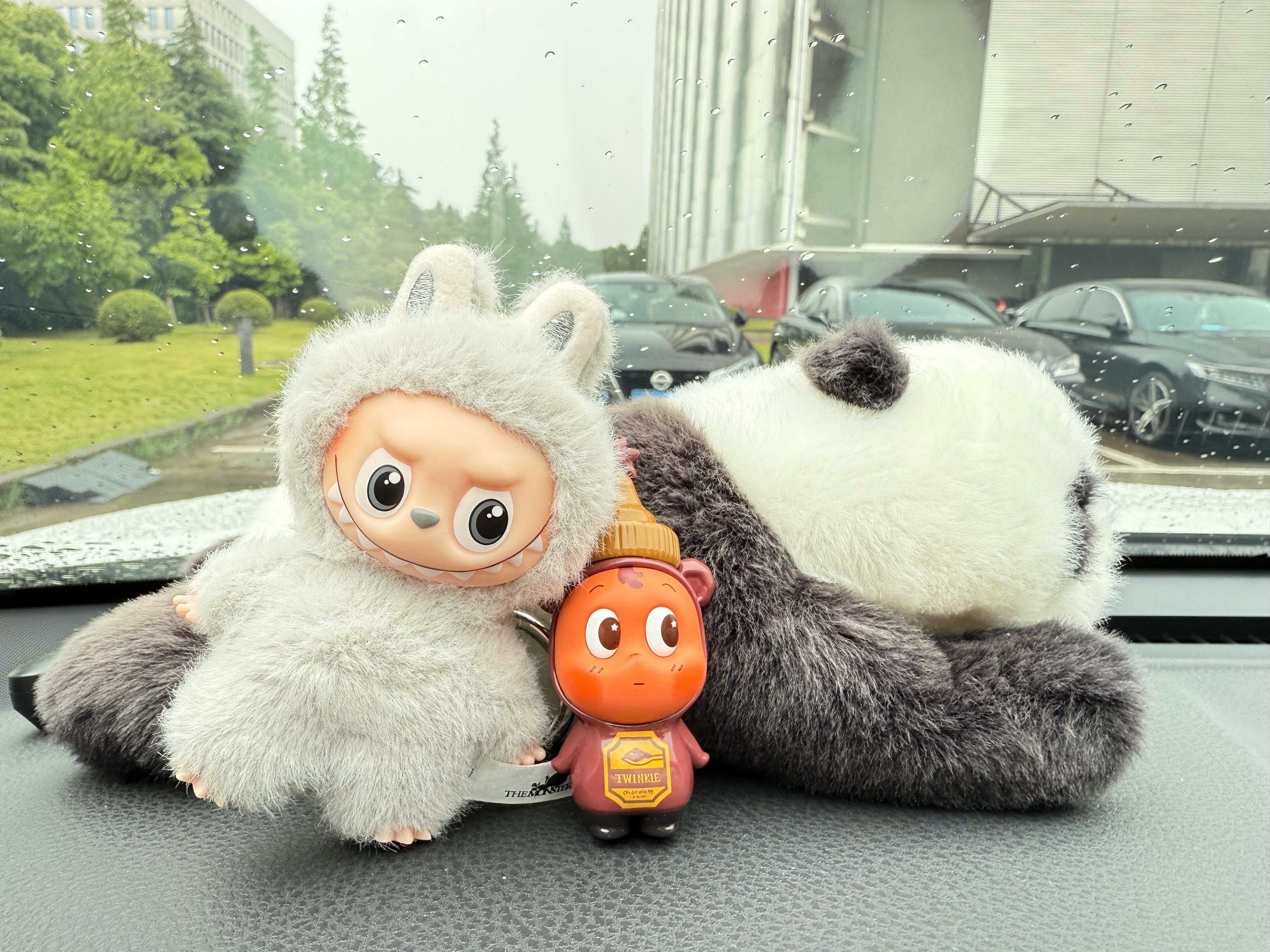 周二早上好～又是一个雨天拥抱正能量好运降临加油努力搬砖