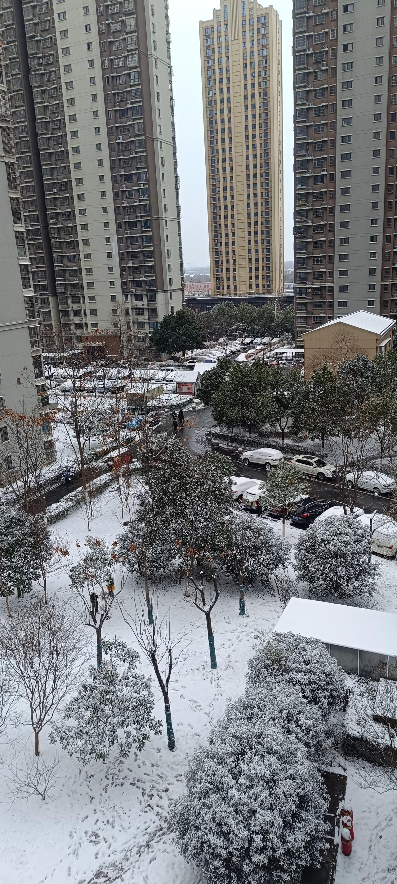 今年首场寒潮从北至南影响我国多地，这也是自去年入冬以来我国最强雨雪冰冻天气过程。