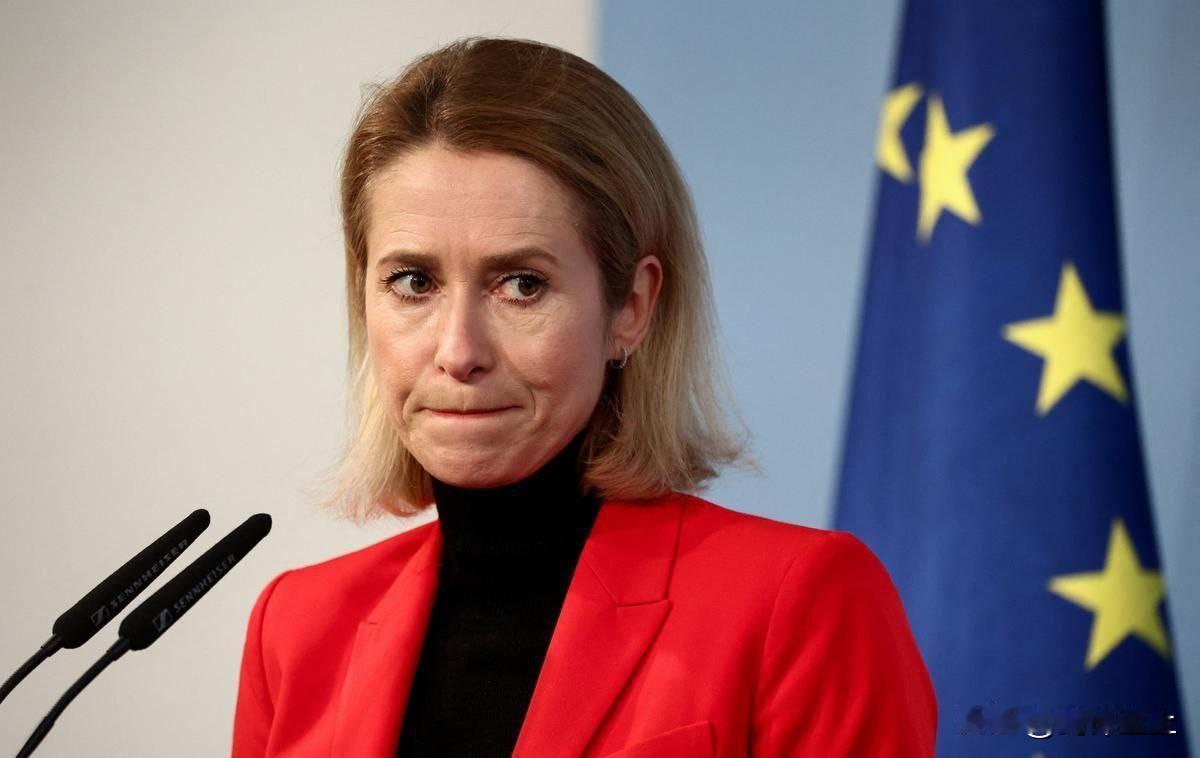 兄弟们，欧洲政客的脑回路真让我看不懂了
伊朗封锁霍尔木兹海峡后，欧盟表示强烈反对