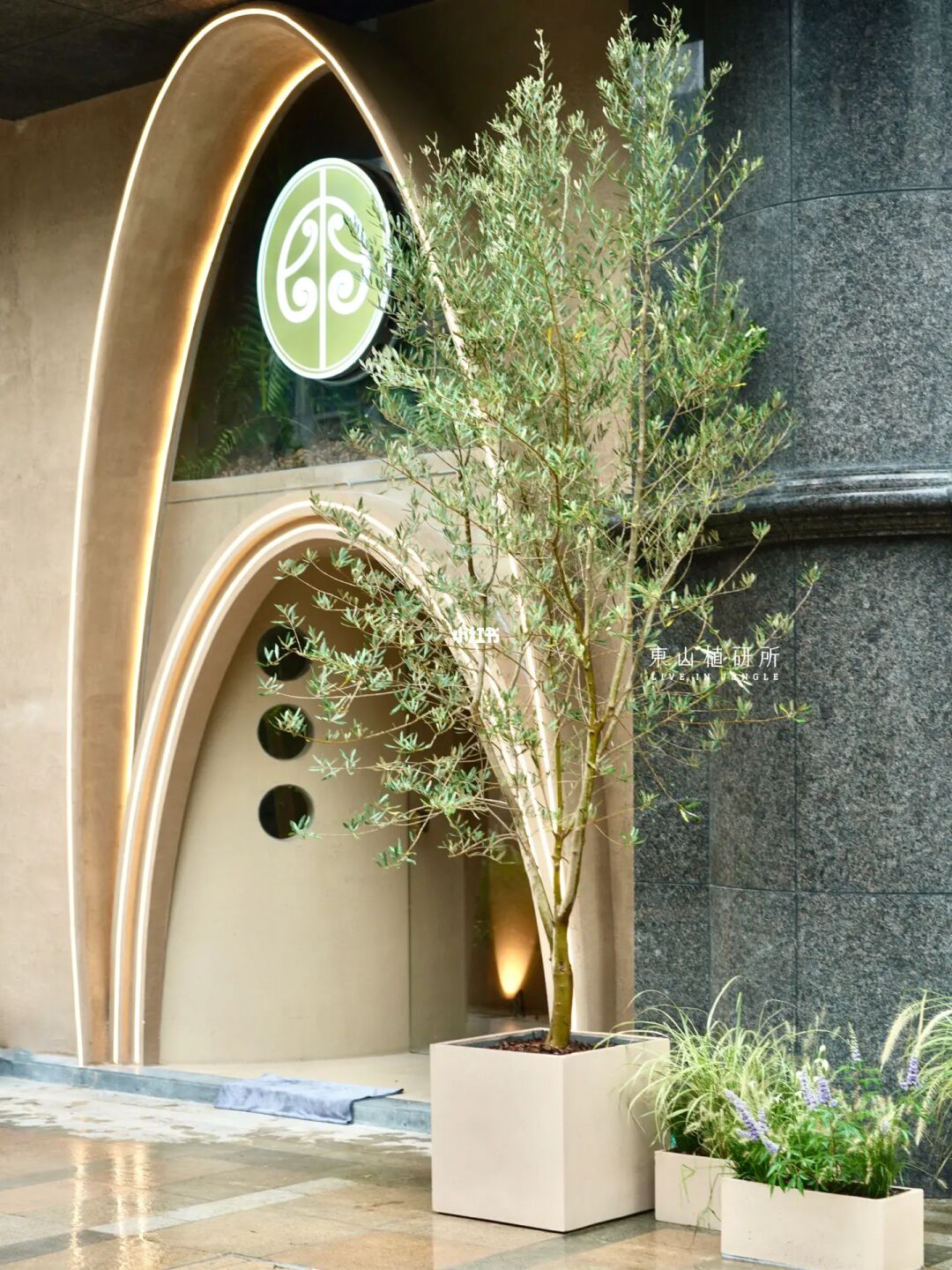 植物布置｜门前植物花箱🌳自带治愈氛围