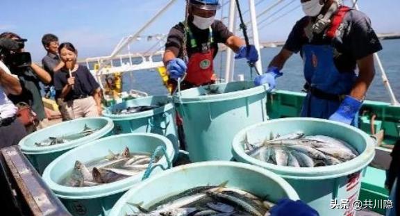 日本扇贝从北海道的工厂装车，车牌照转向韩国釜山港。
这批货物在中国海关的监管系
