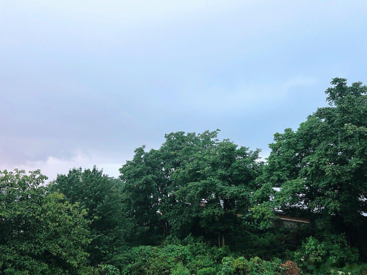 雨声不小早安你早安全世界 