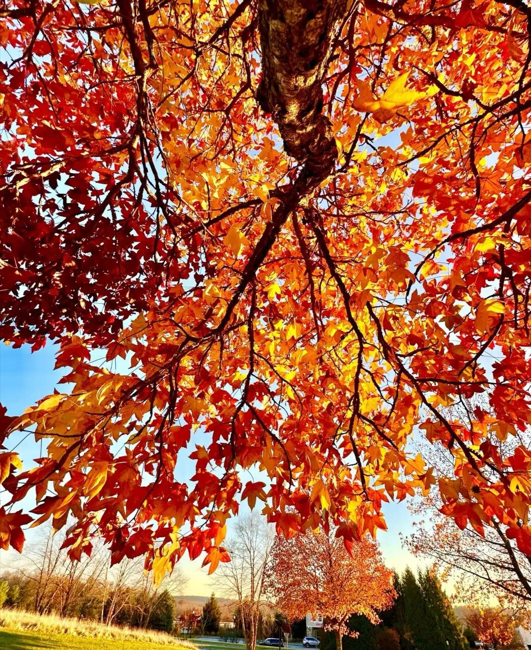 所以年龄大了越发觉得，在单位没必要那么要强了。干得再多付出再多，也没人会拿你当回