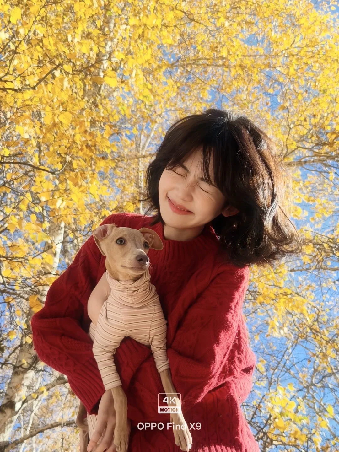 我站在暖阳里 用4K Live沾满一身秋天🍂