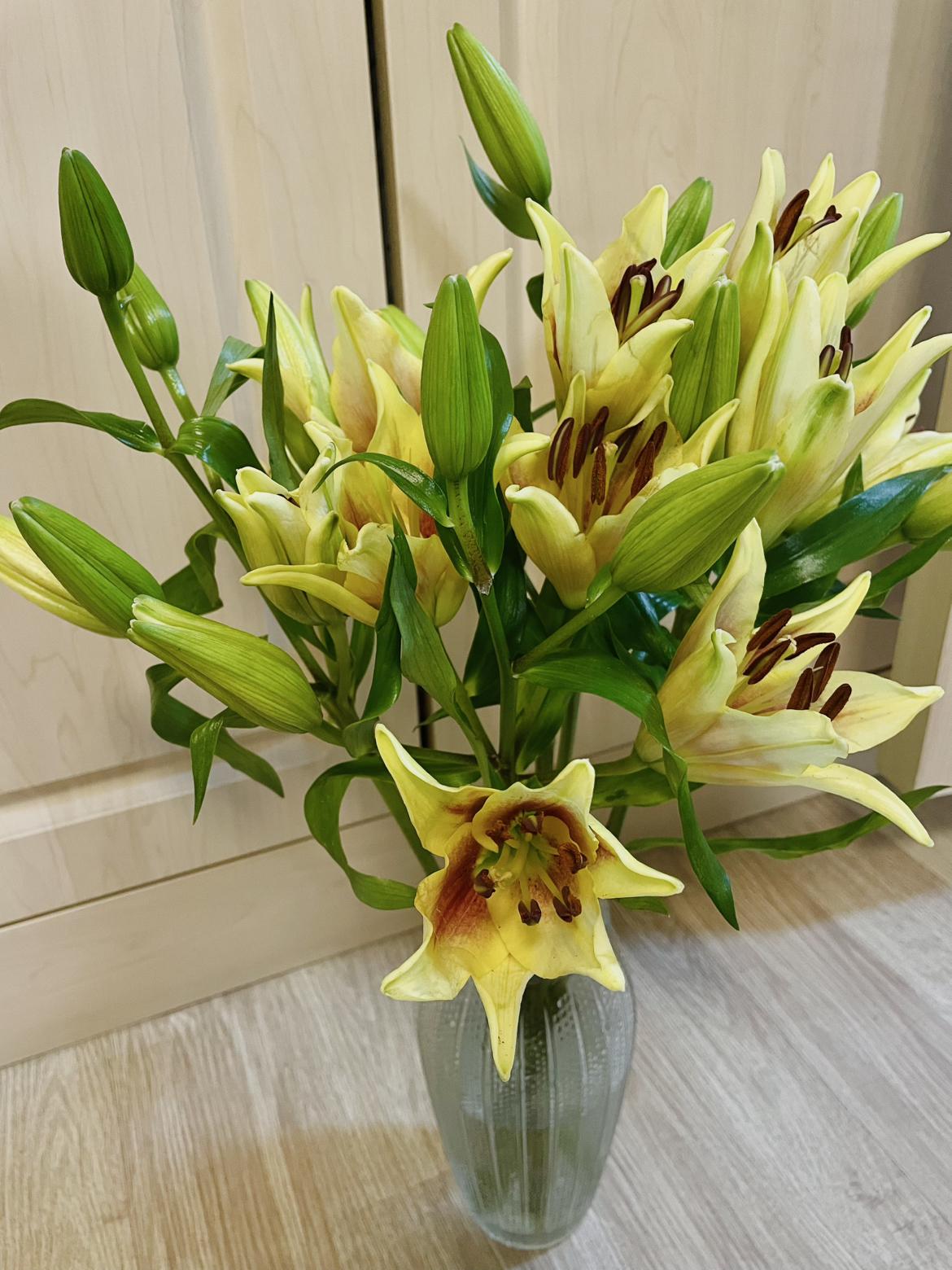 我的今日状态：💰期待暴富
我这里的天气：☀️晴天