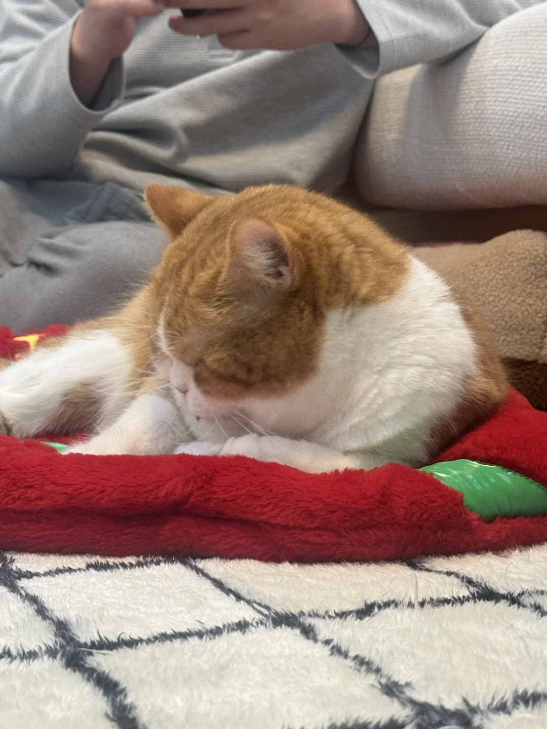 我的宝宝好暖和