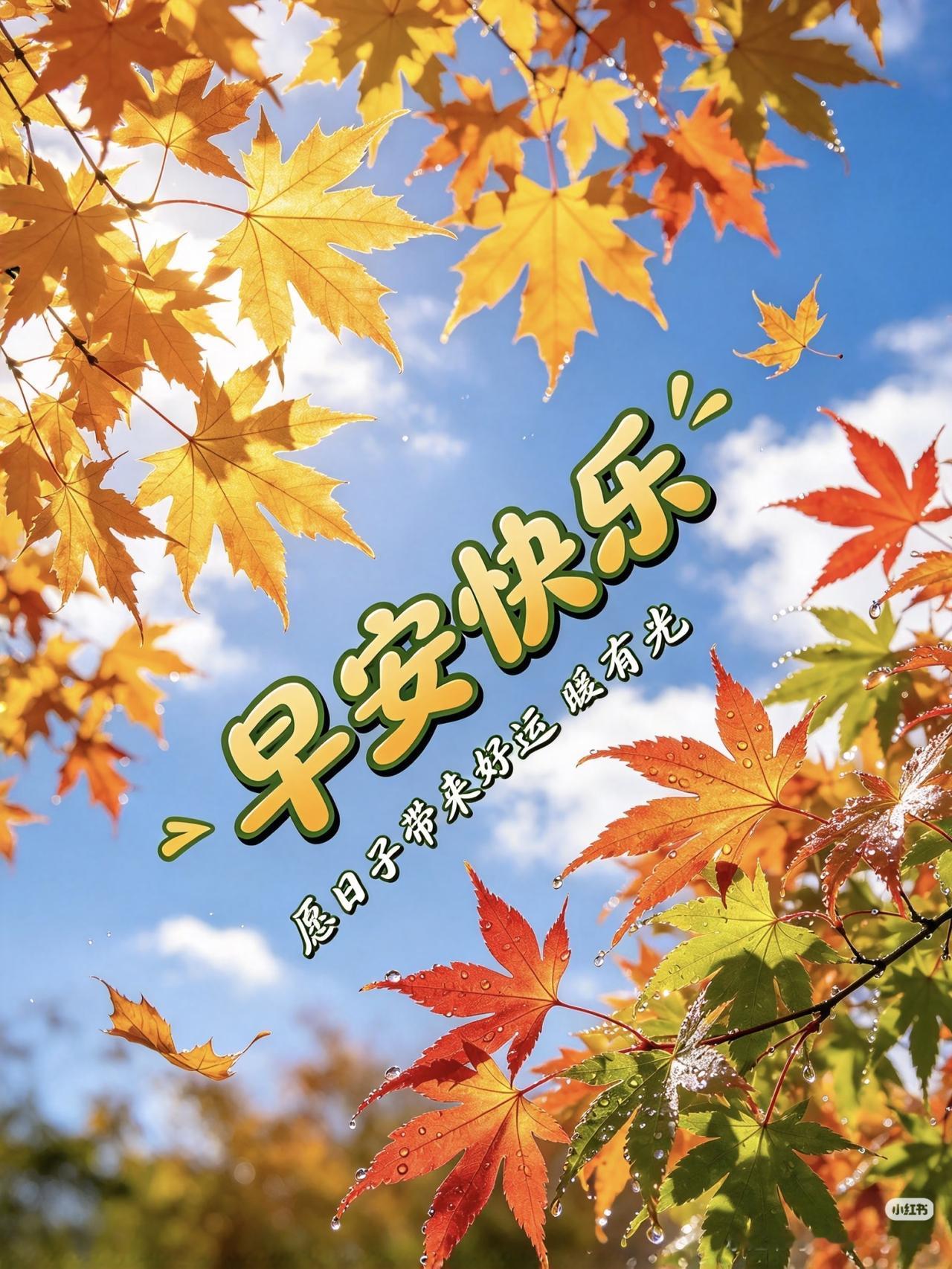 早安！今天是10月17日星期六。
三大球天津U19女排在今天下午进行的一场比赛中