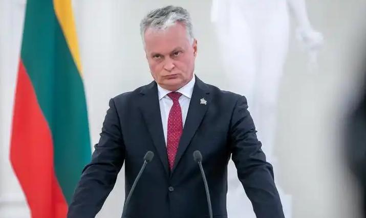 突发内讧？就在立陶宛总理连夜认怂，准备亲手摘下“台湾代表处”招牌时，总统瑙塞达却