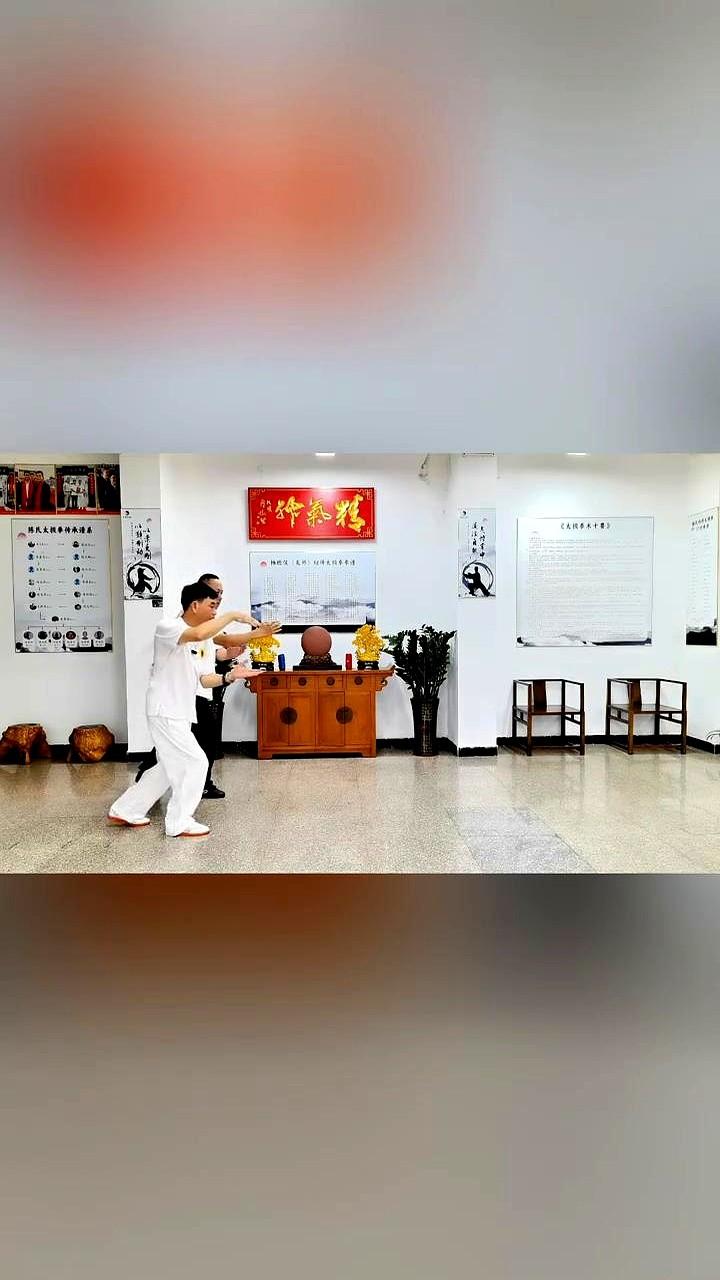 别去硬碰硬，真正的高手过招，讲究的是打人如挂画。

起手开步下沉，对方拳风刚到，