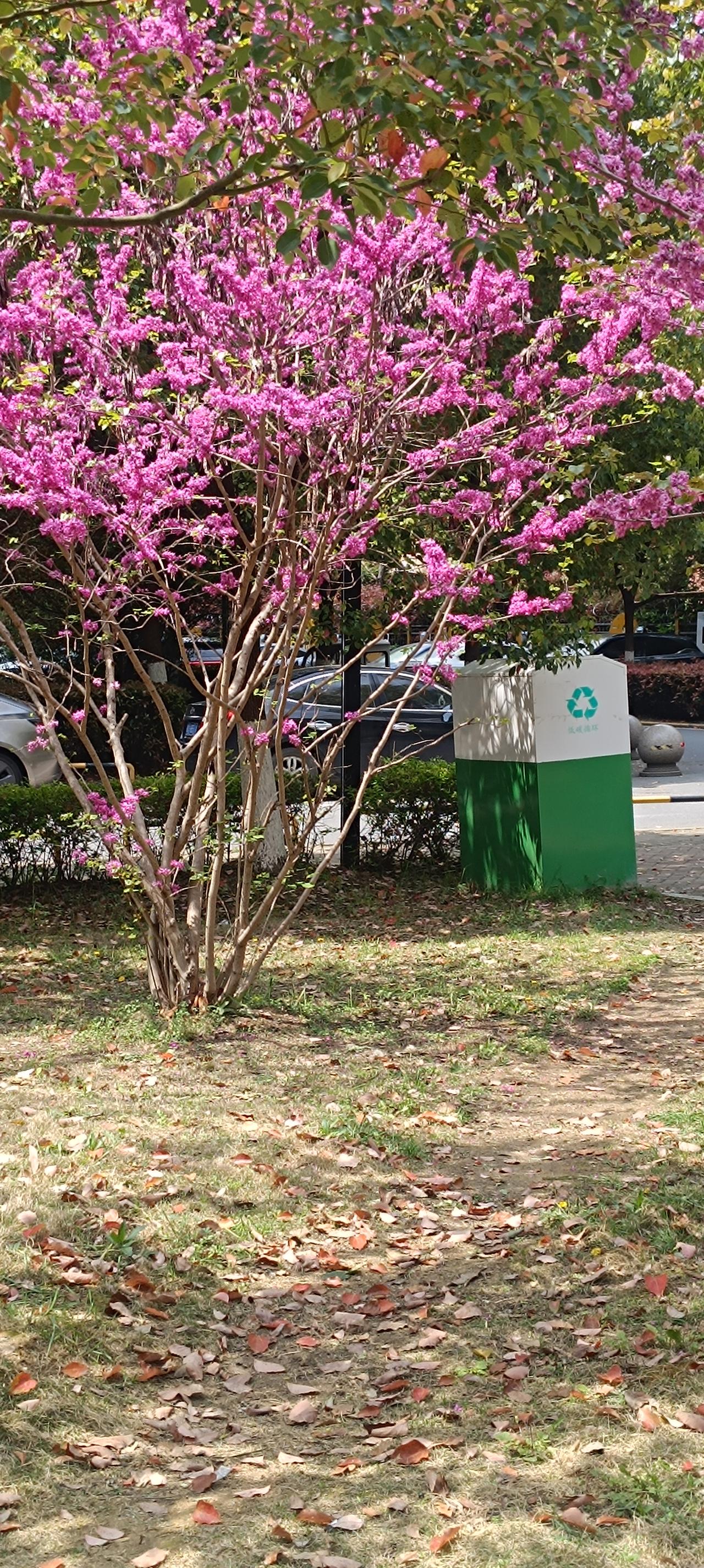 安徽小伙朱俊锋的创业故事太抓马了！2023 年底，他砸 80 万在上海开羊肉面馆