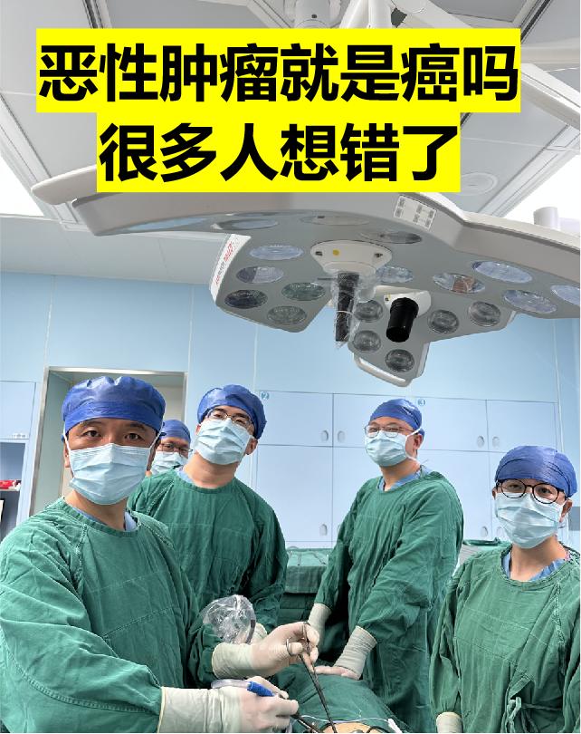 恶性肿瘤就是癌吗？很多人想错了。很多人认为，恶性肿瘤就是癌，其实这种认...