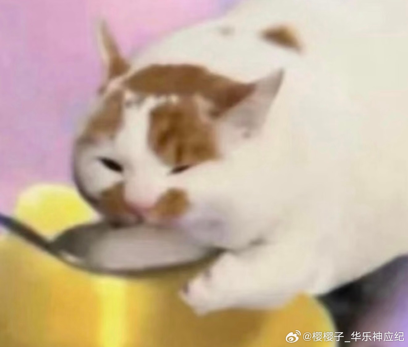 我健身重了一斤，这是个好事啊，说明我长肌肉了。我健身轻了一斤，这是个好事啊，说明