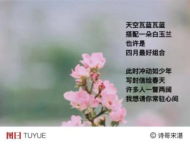 吹过桃花那缕风
又来吹拂我了
．
四月 花开风暖
万物都爱我
包括春天
我真是欢