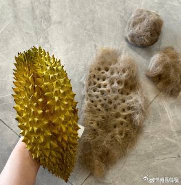 吃完的榴莲别急着扔日常吃完榴莲记得留住果壳，不要随手丢弃，榴莲壳蕴藏不少居家小妙