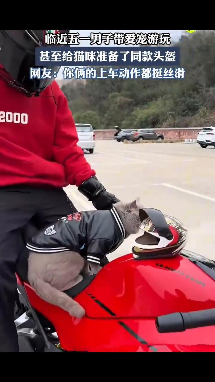 临近五一男子带爱宠游玩，甚至给猫咪准备了同款头盔。
网友：你俩的上车动作都挺丝滑