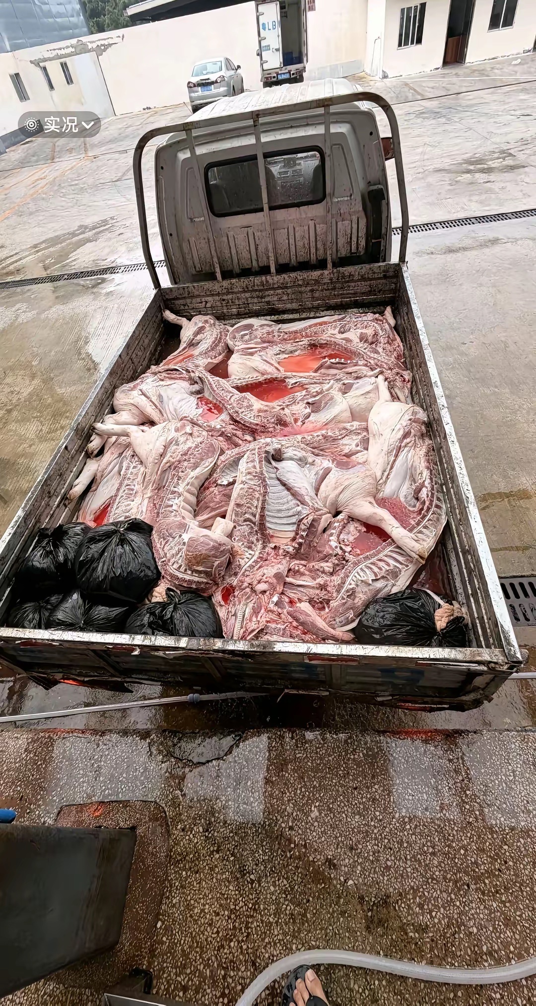 肉被雨淋了，影响不大吧？ 