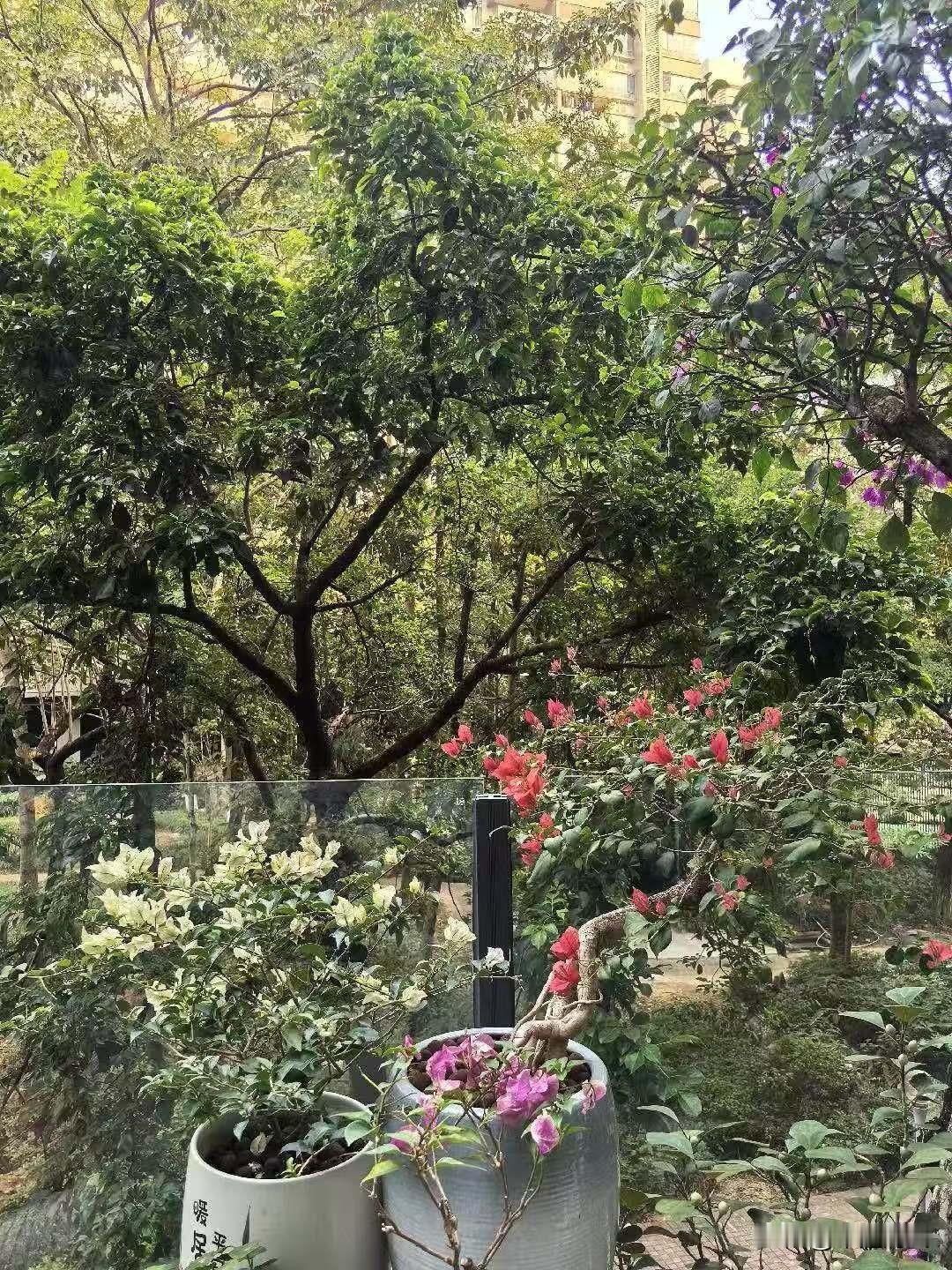 分享一下你随手拍下的照片