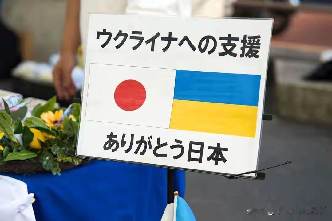 美支持日本在北方争议领土问题上立场

普京首次登上南千岛群岛视察民生项目之后，美