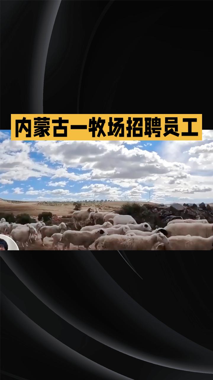 月薪1.6万全年无休放牧，你会为高薪忍受草原的孤独与严寒吗？
内蒙古锡林浩特一牧