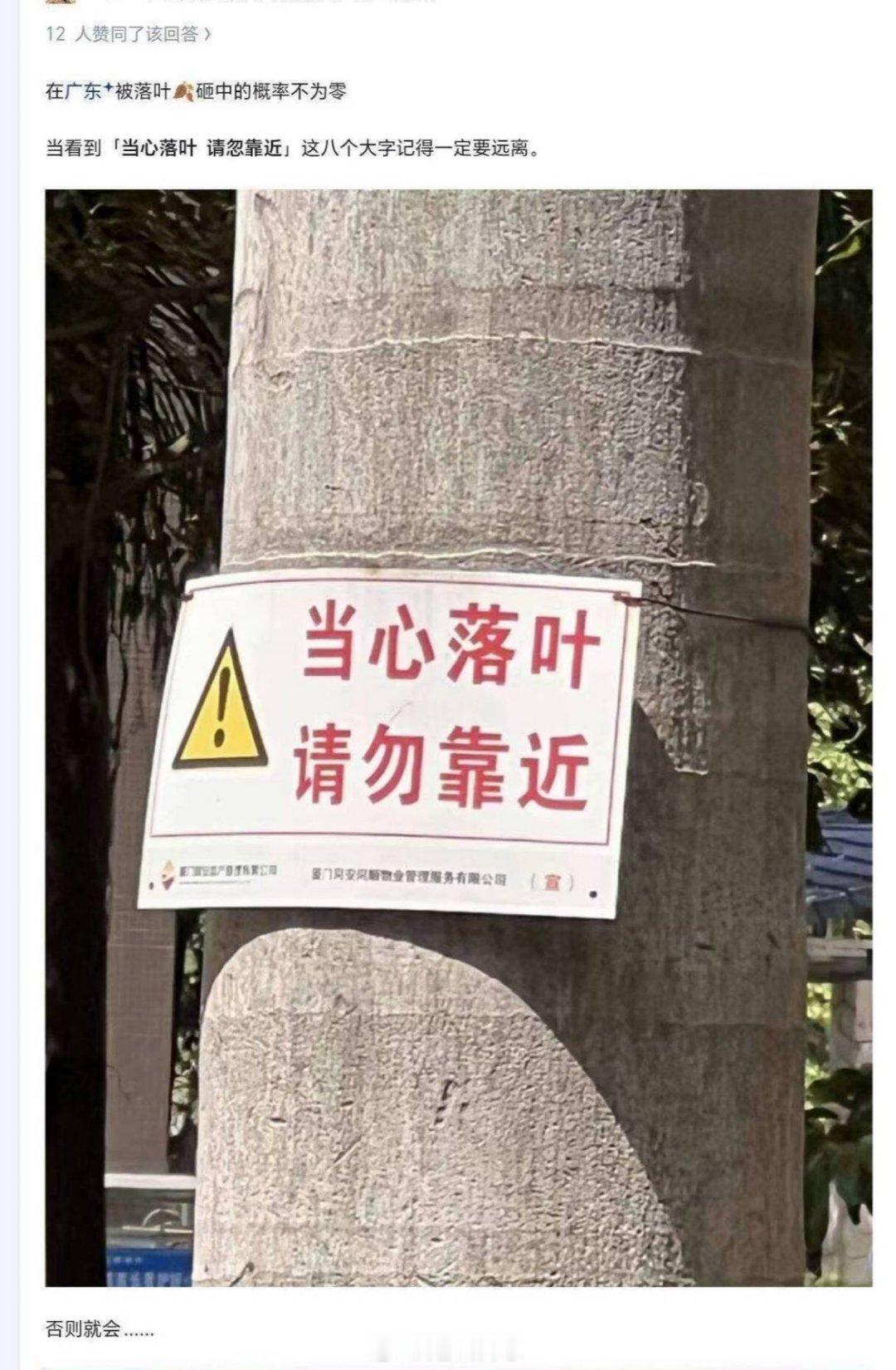 不就是落叶吗，有什么可怕的