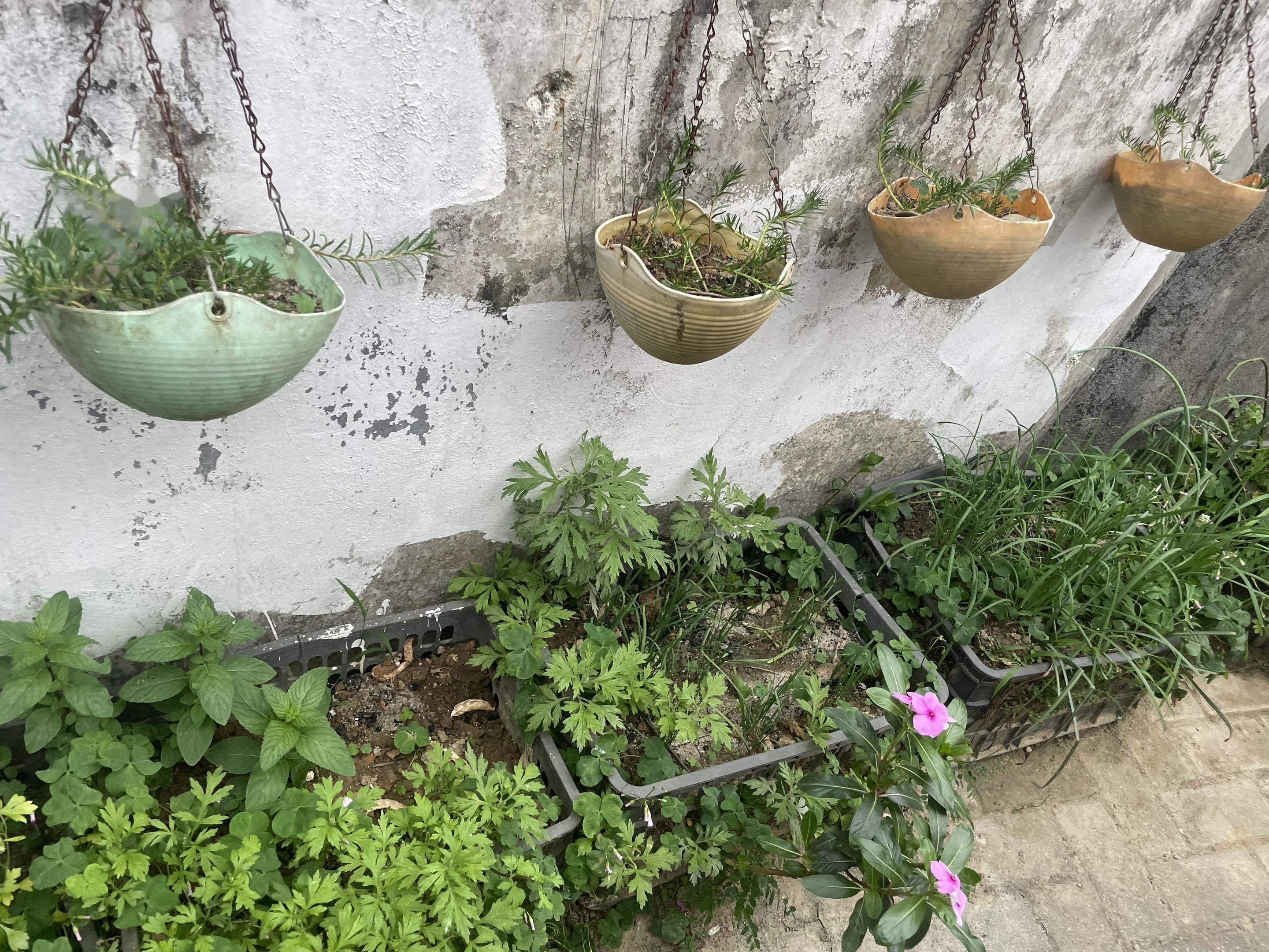 这种场景勾起满满的回忆