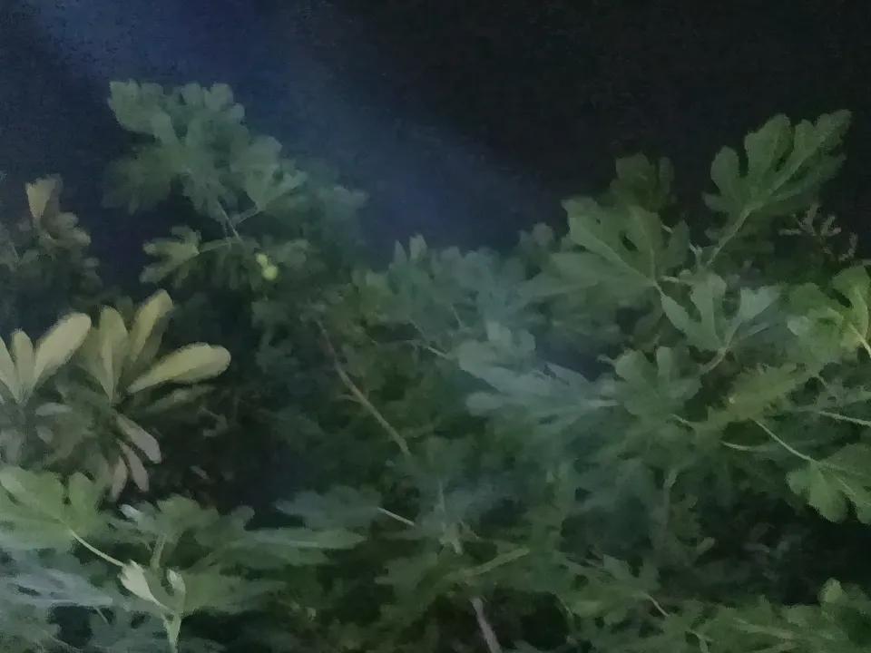 这个对联有意思：
[既怕涨，又怕跌，叶公不好龙，只把韭菜割，落袋为安，十年走成一