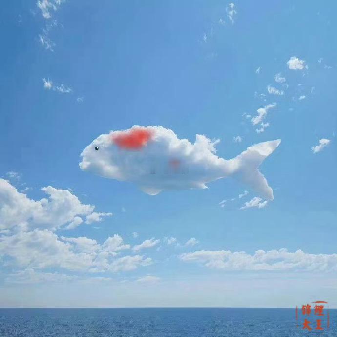红运当头锦鲤云现！转发！接住这份超级好运！