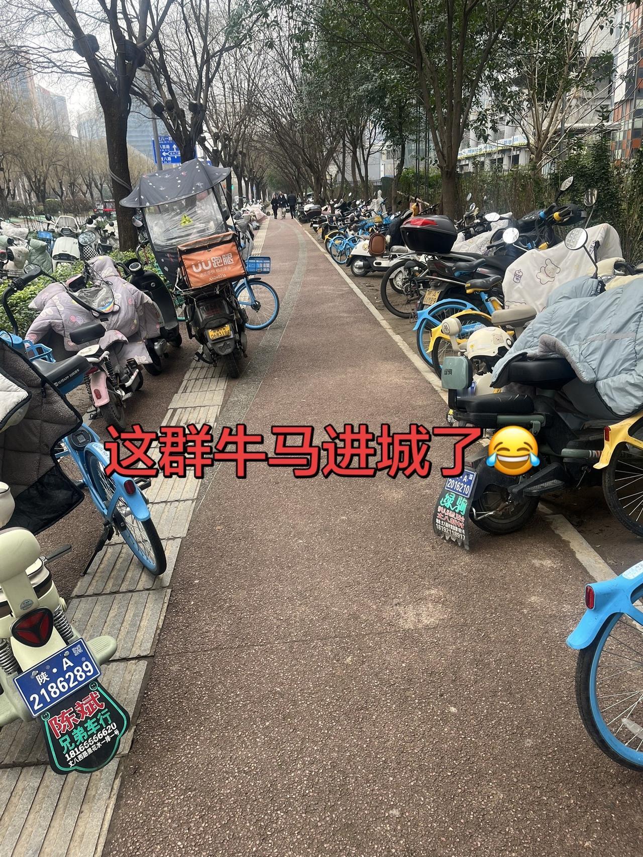 年兽走了，牛马来了！