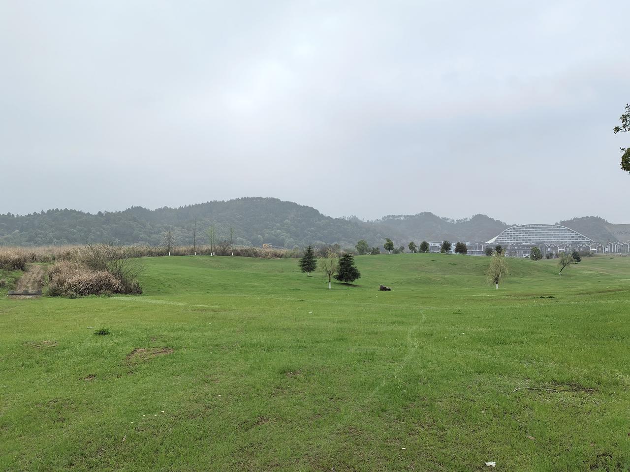天气有点暧昧
欲雨未雨
下了两天
出门骑车去
静悄悄的河湾路
闲人野钓
两只小狗