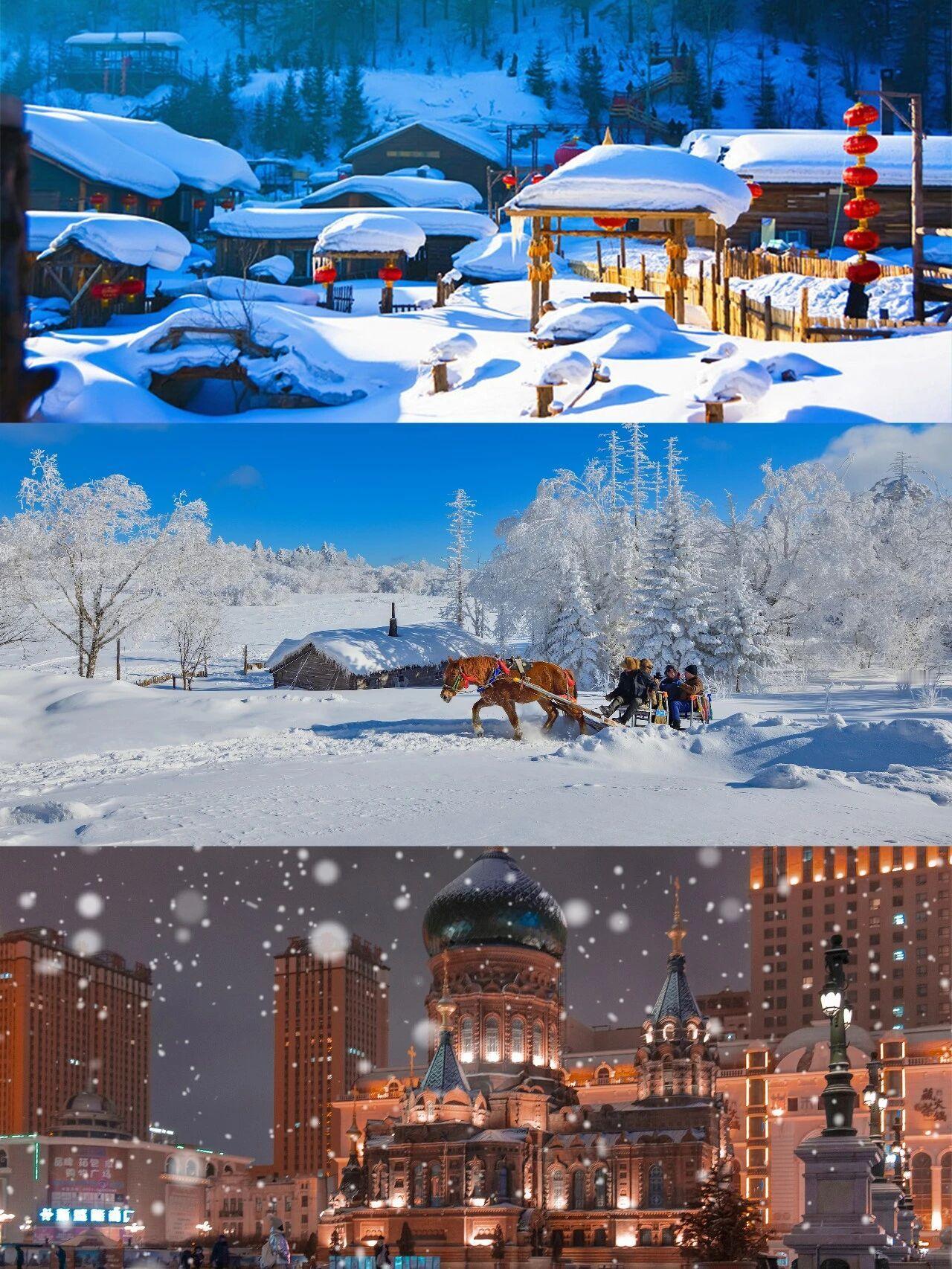 2026，去东北！这才是冬天该有的样子！
不去一趟东北，这个冬天就不完整！
❄️