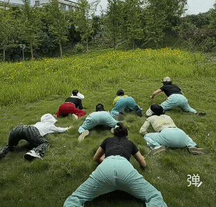 哈哈哈，发现有一只太调皮了![耶]
