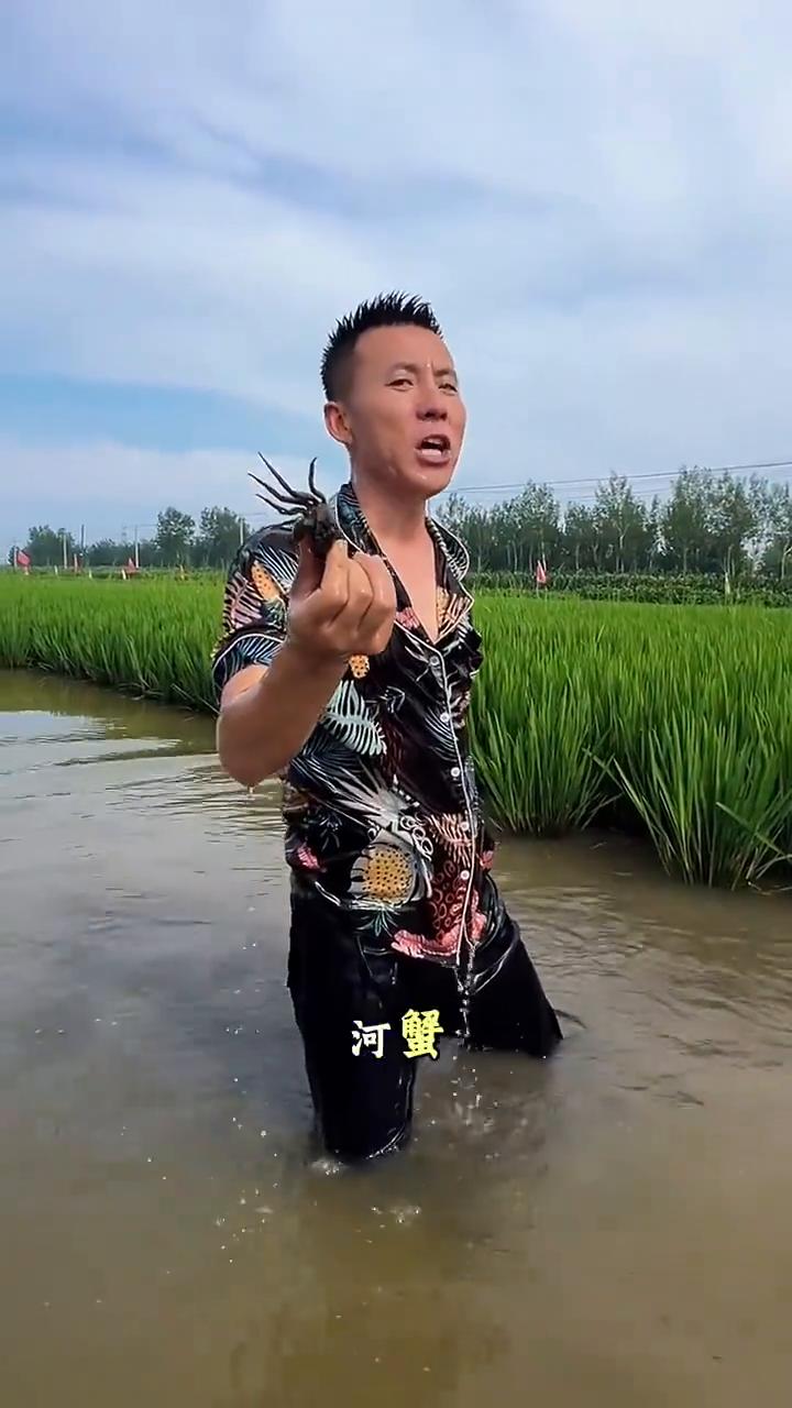 宝，吃螃蟹吗？宝，它还没熟。原生态稻田养出的河蟹，肉质紧实，自带清甜稻花香味。宝