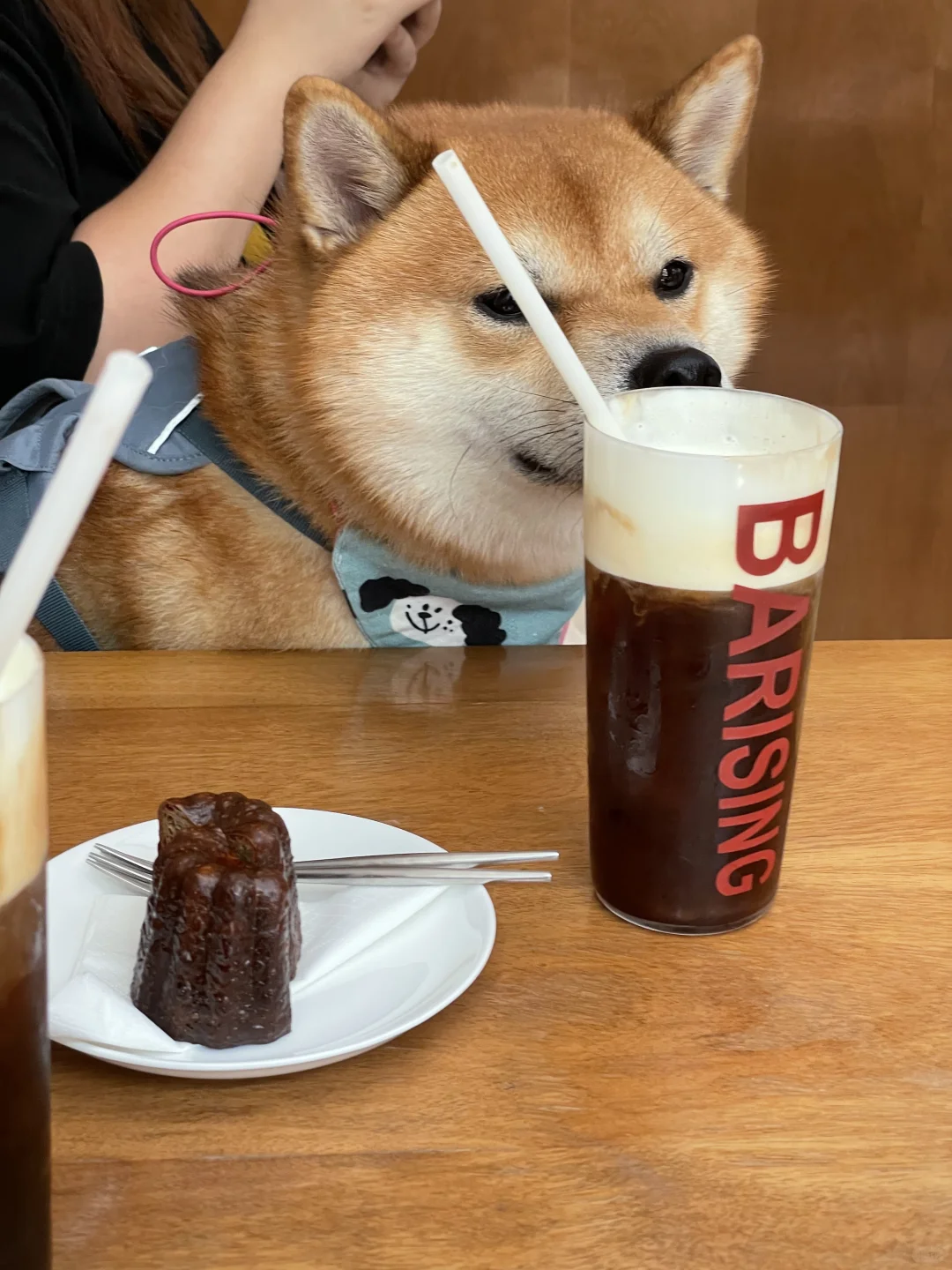 快被上面的奶盖香迷糊了🤤