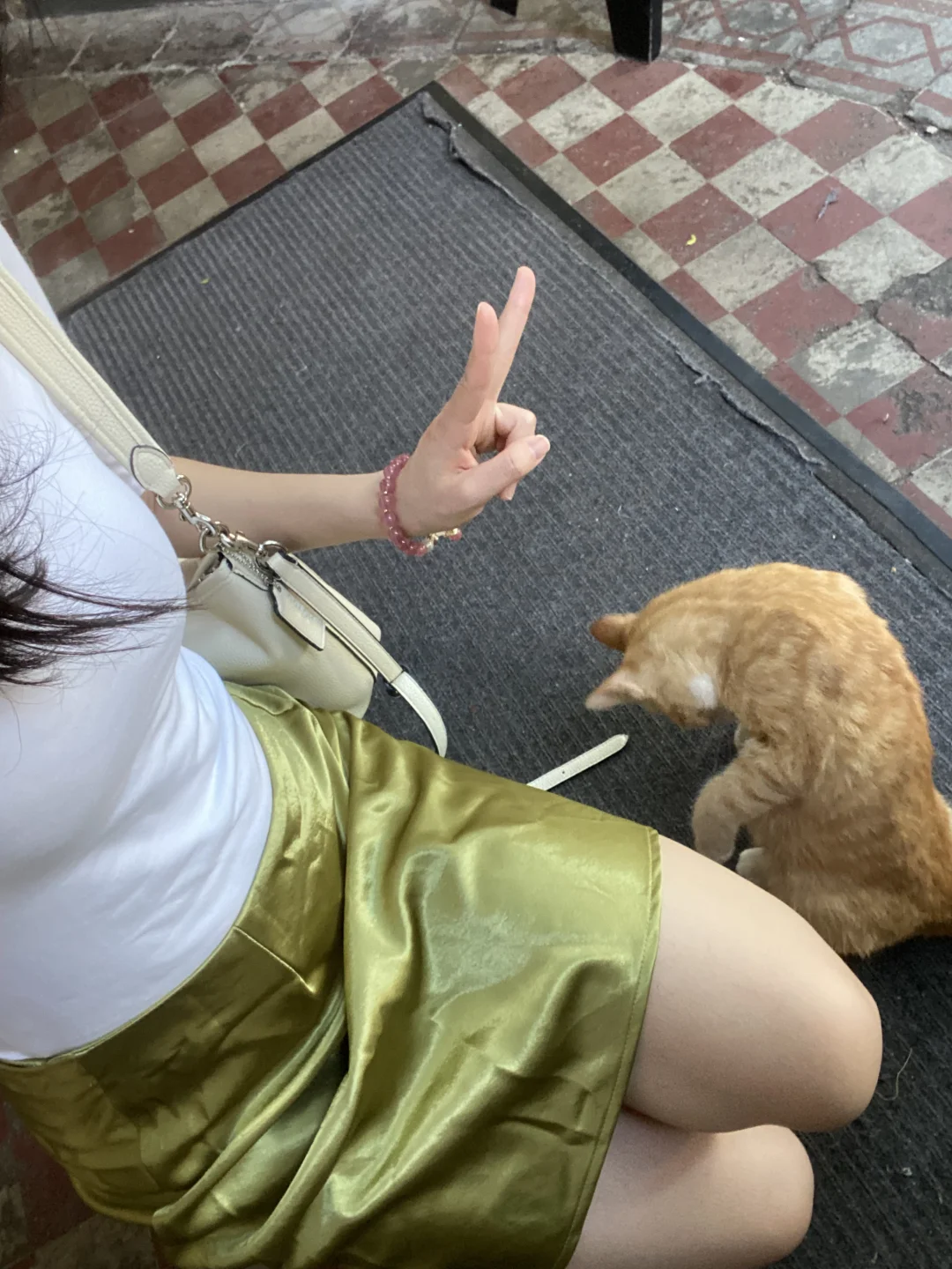 沙面的猫猫🐱